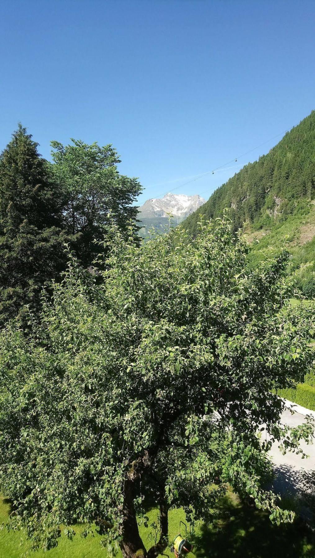 Apartments Rosenhof Mayrhofen Zewnętrze zdjęcie